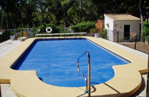 swim spa