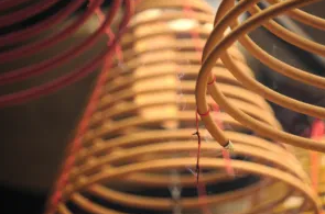coil