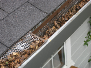 gutter protector